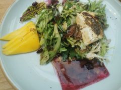黑醋牛肉沙拉-三秋舍·梦幻岛(小西路店)