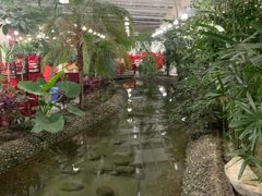 -兴芮温泉度假区