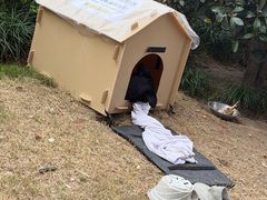 -苏州河梦清园环保主题公园