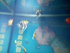 -福州罗源湾海洋世界旅游区