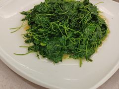 -新南华大酒店(广中店)