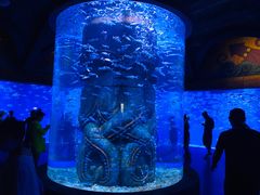 -波塞冬旅游度假区