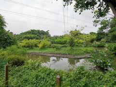 -广州长隆飞鸟乐园