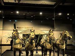 -秦始皇帝陵博物院-丽山园