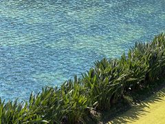 -澳门威尼斯人综合度假区