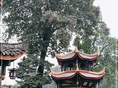 -峨眉山报国寺