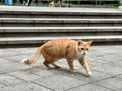 -晓港公园