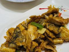 -有腥气私房菜·寻味顺德