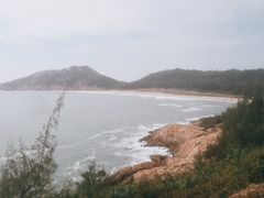 -广东惠东海龟国家级自然保护区