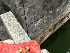 -锦记糕点铺