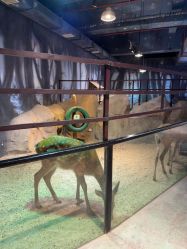 -酷嗒动物文化乐园(cutezoo西溪乐天城店)