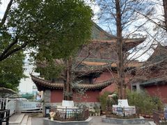 -真庆观