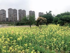 -龙江公园
