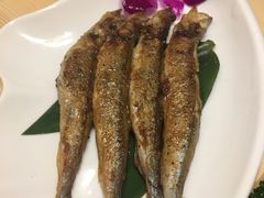 烤多春鱼-割烹酱子日本料理(弘基财富广场店)
