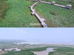 -哈素海