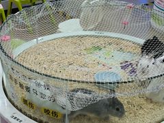 -巴黎春天(陕西路店)