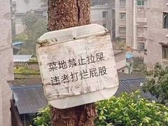 -吾悦广场(南京鼓楼店)