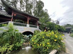 -广州神农草堂中医药博物馆