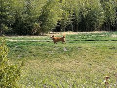 -圣露庄园·露营·烤肉·亲子