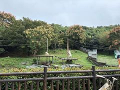 -宁波野生动物园