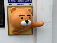 -云间粮仓