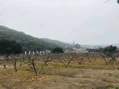 -龙寺生态园