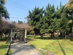 -同济大学(沪西校区)