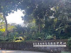 -深圳仙湖植物园