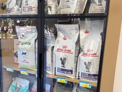 -瑞派康怡24h宠物医院·犬猫医疗中心·微创绝育(瑞景分院)