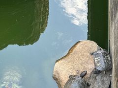 -南京市江宁方山