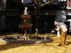 -上海瑞金洲际酒店