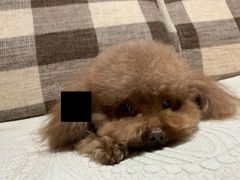 -乐宠宠物店(世纪金源店)