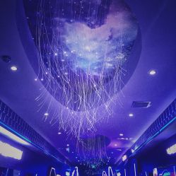 点击看大图 -Hamleys哈姆雷斯(东方福来德店)