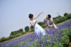 点击看大图 -金夫人婚纱摄影(华南店)