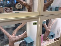 -龙猫仔乐园(惠福东路店)