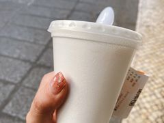 -洪馨椰子