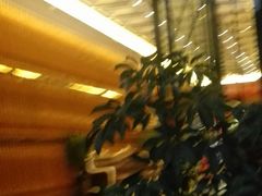 -星光灿烂KTV(金沙店)