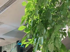 -眉州东坡(通州店)