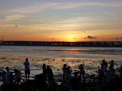 -宝安西湾红树林湿地公园