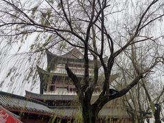 -杜甫江阁