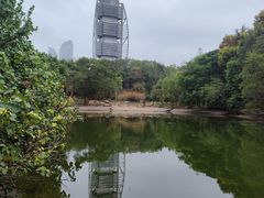 -深圳国际园林花卉博览园