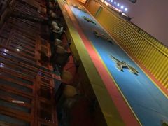 -老码头火锅(玉林店)