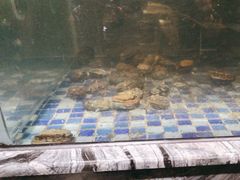 -喜庭海鲜自助(北辰三角洲北辰荟店)