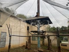 -合肥野生动物园