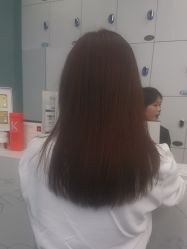 -YESIDO椰岛造型