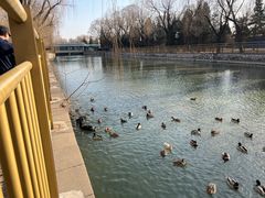 -北京北辰洲际酒店