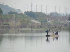 -鹤之洲湿地公园