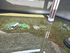 -几荷·恰似故人来(秀水广场店)