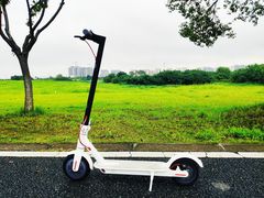 -漕湖湿地公园