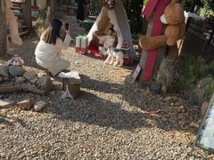 -HERRE·FARM 赫尔露营农场·团建聚会包场